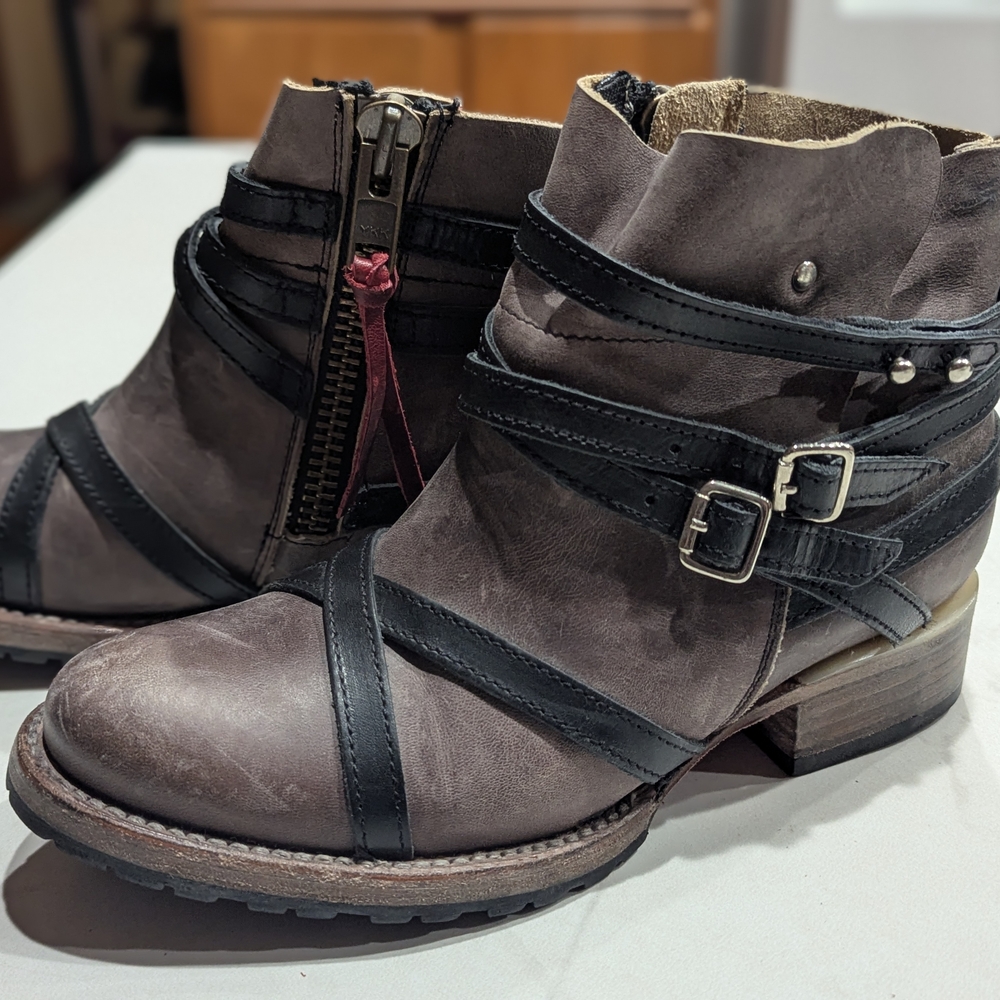 Freebird by Steven Brown and Black Ankle Booties with Buckle Details